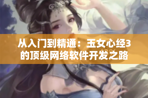 从入门到精通：玉女心经3的顶级网络软件开发之路