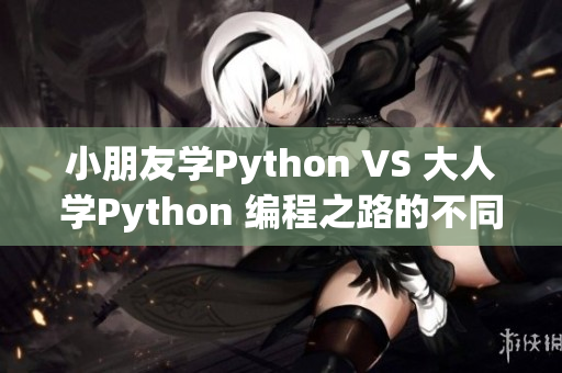 小朋友学Python VS 大人学Python 编程之路的不同