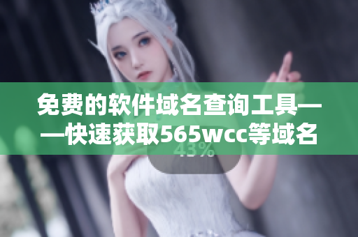 免费的软件域名查询工具——快速获取565wcc等域名信息