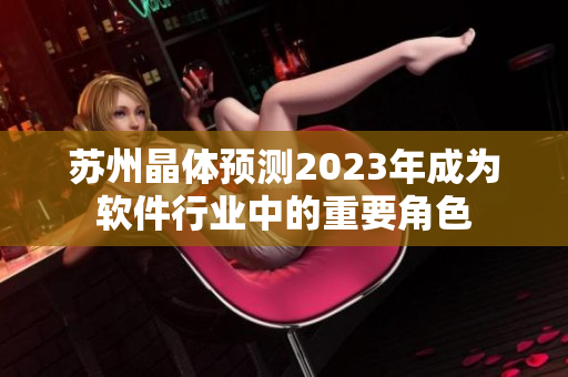 苏州晶体预测2023年成为软件行业中的重要角色