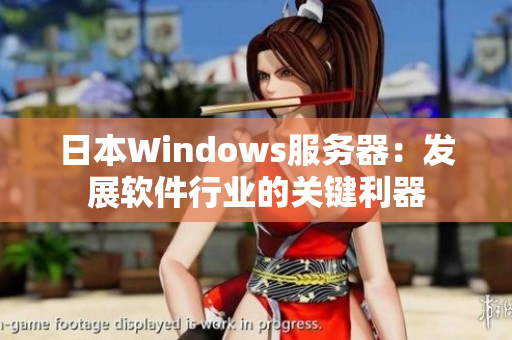 日本Windows服务器：发展软件行业的关键利器