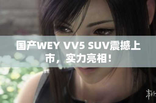 国产WEY VV5 SUV震撼上市，实力亮相！