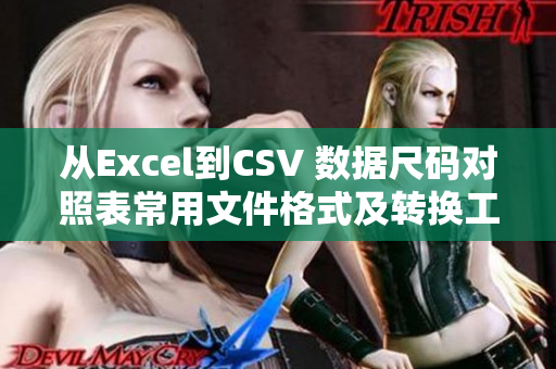 从Excel到CSV 数据尺码对照表常用文件格式及转换工具