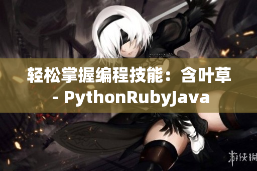 轻松掌握编程技能：含叶草 - PythonRubyJava