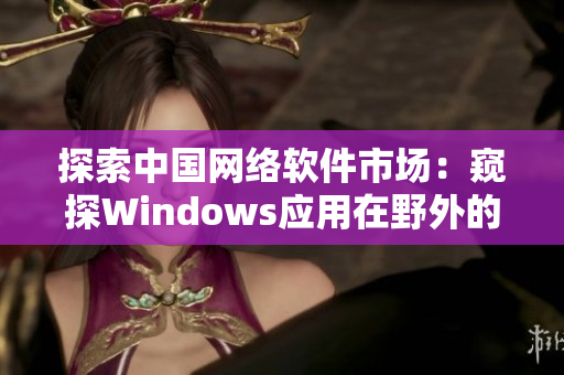 探索中国网络软件市场：窥探Windows应用在野外的广泛应用与重要性