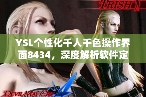 YSL个性化千人千色操作界面8434，深度解析软件定制化设计