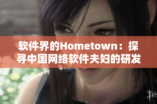 软件界的Hometown：探寻中国网络软件夫妇的研发故事