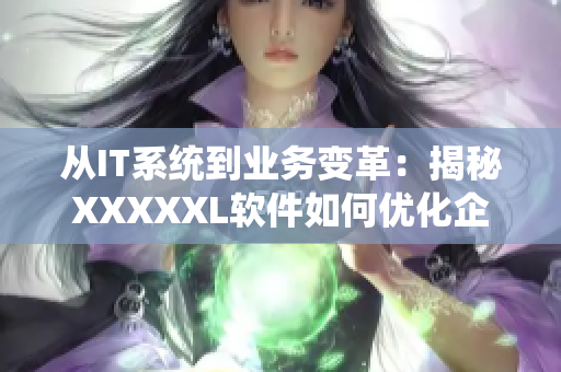 从IT系统到业务变革：揭秘XXXXXL软件如何优化企业运作