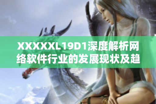 XXXXXL19D1深度解析网络软件行业的发展现状及趋势