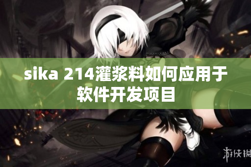 sika 214灌浆料如何应用于软件开发项目