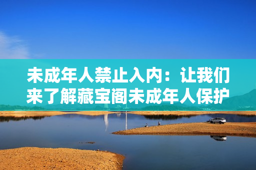 未成年人禁止入内：让我们来了解藏宝阁未成年人保护措施