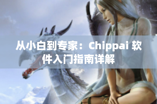 从小白到专家：Chippai 软件入门指南详解