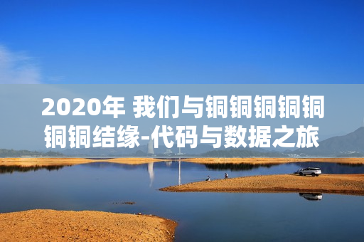 2020年 我们与铜铜铜铜铜铜铜结缘-代码与数据之旅