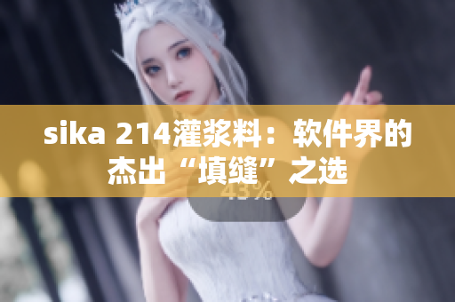 sika 214灌浆料：软件界的杰出“填缝”之选