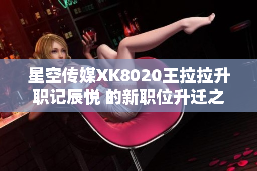 星空传媒XK8020王拉拉升职记辰悦 的新职位升迁之路