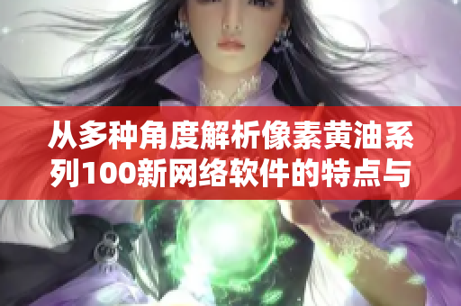 从多种角度解析像素黄油系列100新网络软件的特点与应用