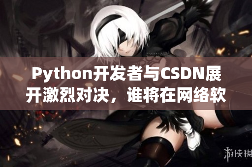 Python开发者与CSDN展开激烈对决，谁将在网络软件领域占领先机？