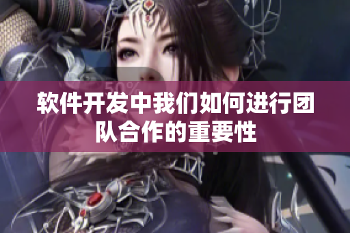 软件开发中我们如何进行团队合作的重要性