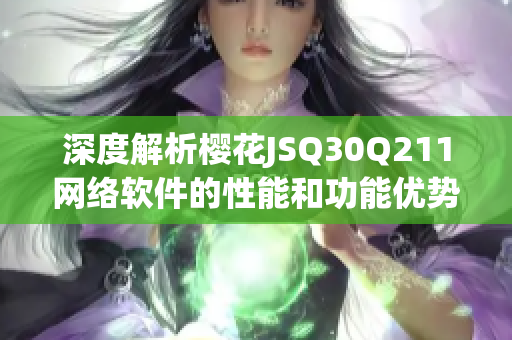 深度解析樱花JSQ30Q211网络软件的性能和功能优势