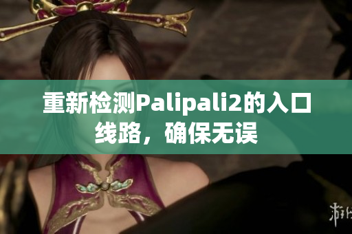 重新检测Palipali2的入口线路，确保无误