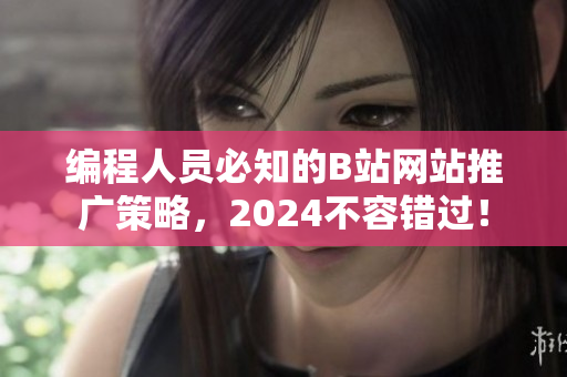 编程人员必知的B站网站推广策略，2024不容错过！