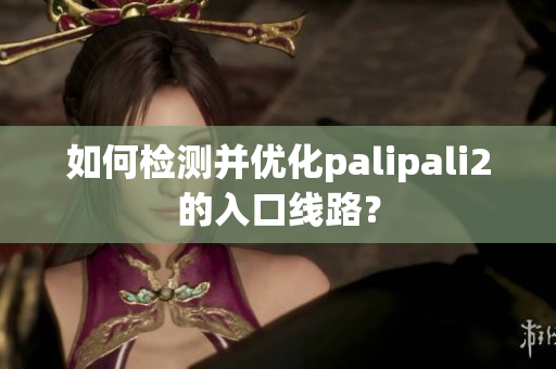 如何检测并优化palipali2的入口线路？