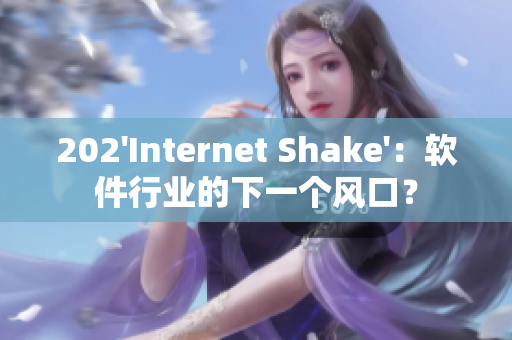 202'Internet Shake'：软件行业的下一个风口？