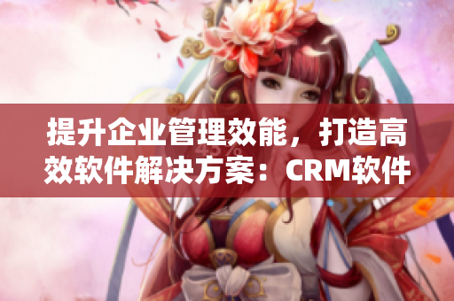 提升企业管理效能，打造高效软件解决方案：CRM软件系统