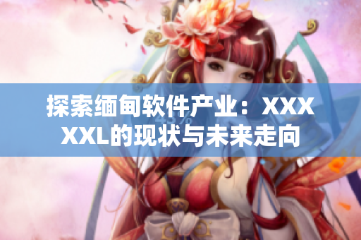 探索缅甸软件产业：XXXXXL的现状与未来走向