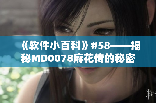 《软件小百科》#58——揭秘MD0078麻花传的秘密