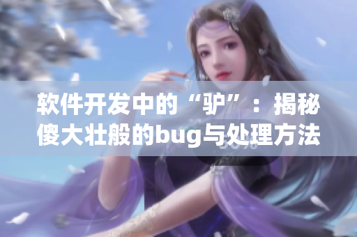 软件开发中的“驴”：揭秘傻大壮般的bug与处理方法