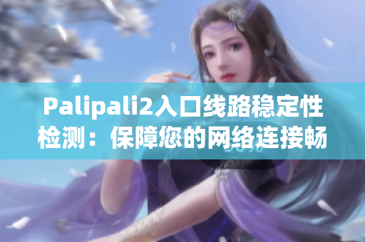 Palipali2入口线路稳定性检测：保障您的网络连接畅通