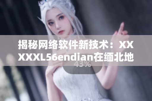 揭秘网络软件新技术：XXXXXL56endian在缅北地区的应用实践