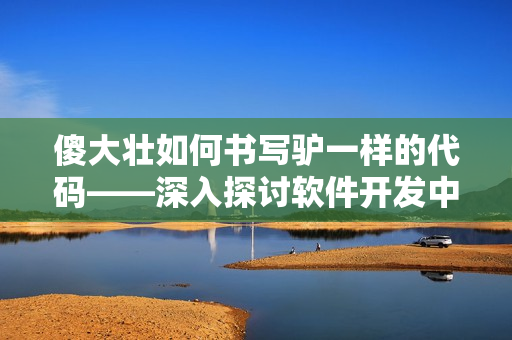 傻大壮如何书写驴一样的代码——深入探讨软件开发中的“傻大壮”现象