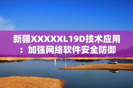 新疆XXXXXL19D技术应用：加强网络软件安全防御