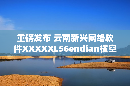 重磅发布 云南新兴网络软件XXXXXL56endian横空出世