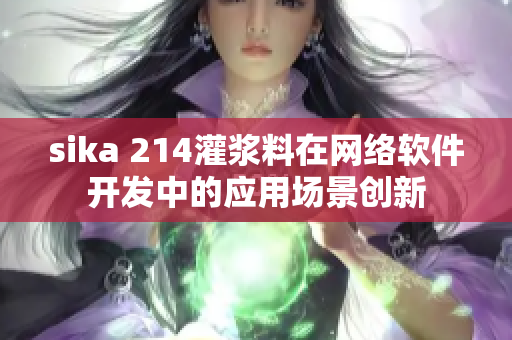 sika 214灌浆料在网络软件开发中的应用场景创新