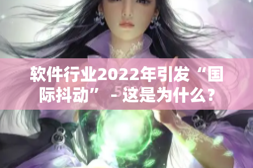 软件行业2022年引发“国际抖动” - 这是为什么？