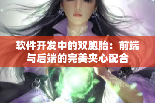 软件开发中的双胞胎：前端与后端的完美夹心配合