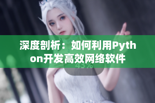 深度剖析：如何利用Python开发高效网络软件