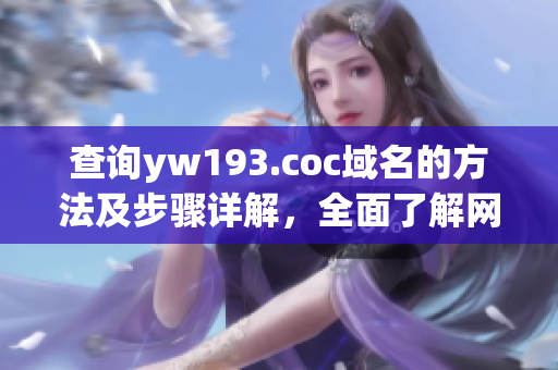 查询yw193.coc域名的方法及步骤详解，全面了解网络域名解析原理