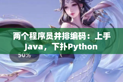 两个程序员并排编码：上手Java，下扑Python