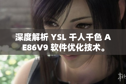 深度解析 YSL 千人千色 AE86V9 软件优化技术。