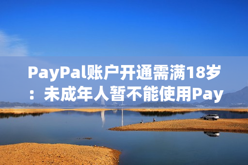 PayPal账户开通需满18岁：未成年人暂不能使用PayPal