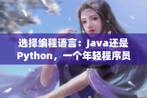 选择编程语言：Java还是Python，一个年轻程序员的抉择