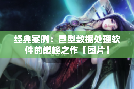 经典案例：巨型数据处理软件的巅峰之作【图片】