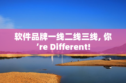 软件品牌一线二线三线, 你’re Different!