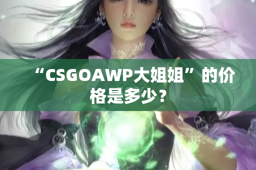 “CSGOAWP大姐姐”的价格是多少？