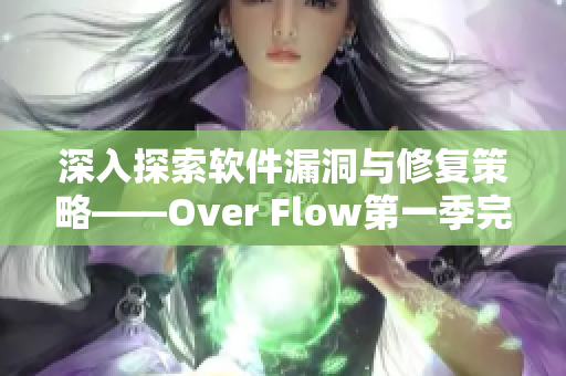 深入探索软件漏洞与修复策略——Over Flow第一季完整观看指南