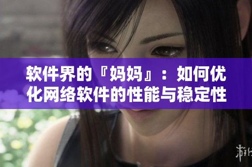 软件界的『妈妈』：如何优化网络软件的性能与稳定性